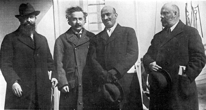 Albert Einstein Portrait